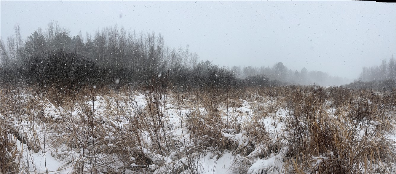 Eddy Road Theresa, NY 13691 - Photo 26 of 35