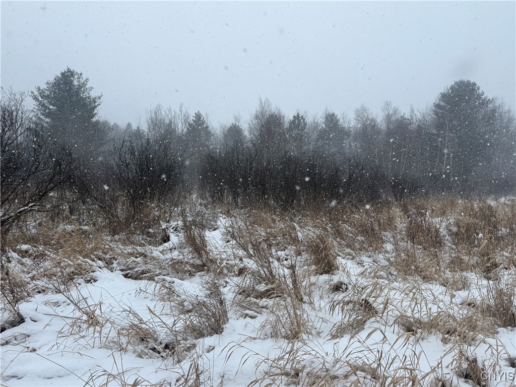 Eddy Road Theresa, NY 13691 - Photo 27 of 35