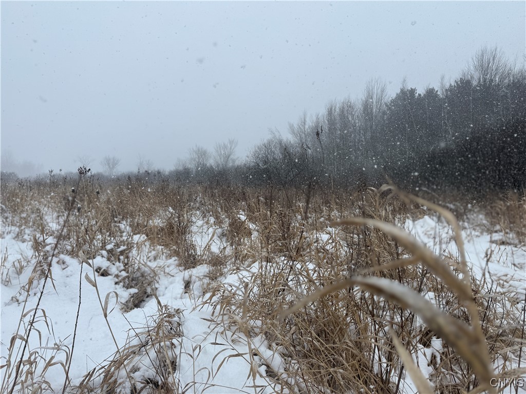 Eddy Road Theresa, NY 13691 - Photo 28 of 35