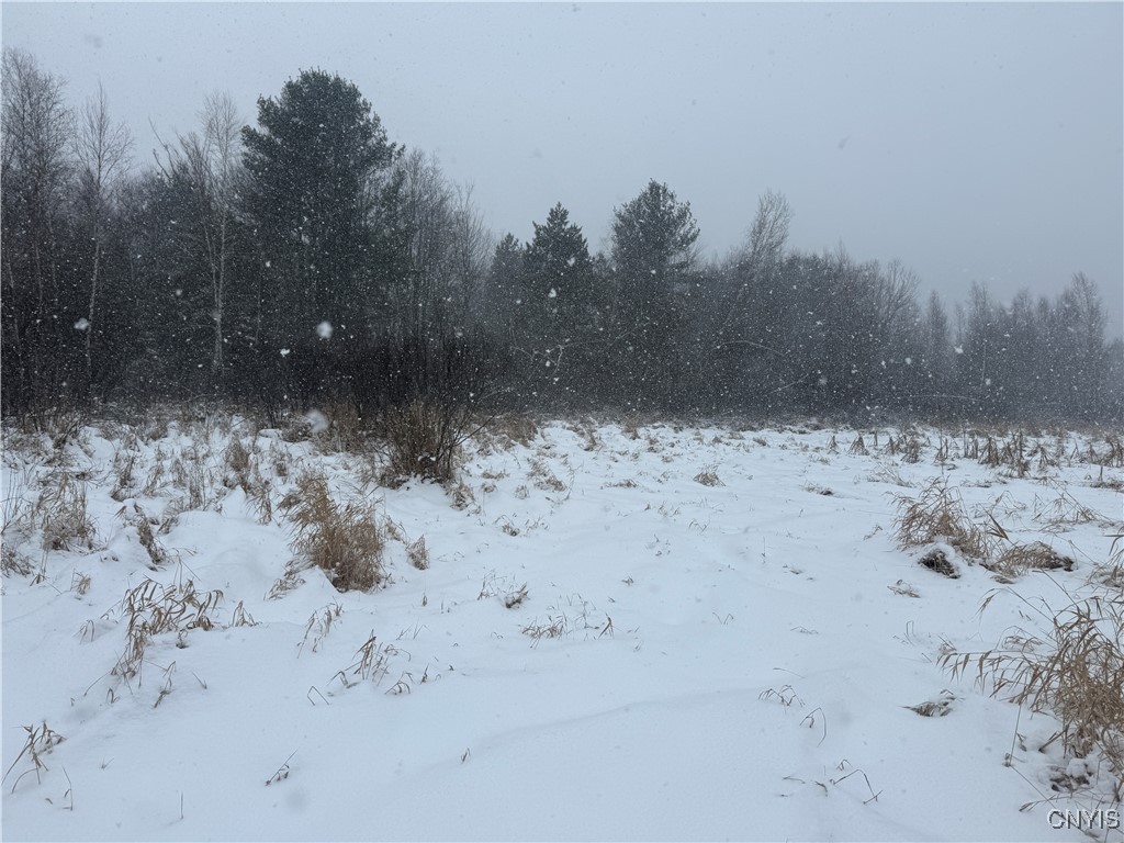 Eddy Road Theresa, NY 13691 - Photo 29 of 35