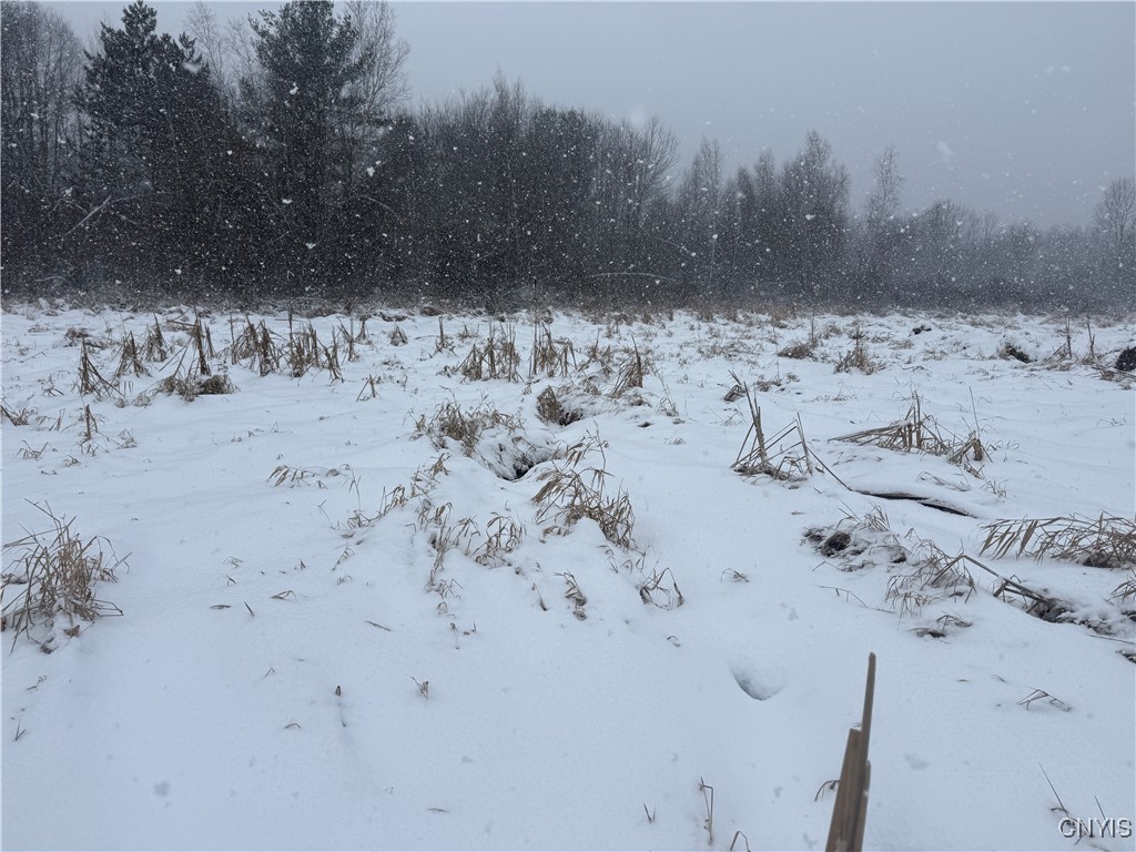 Eddy Road Theresa, NY 13691 - Photo 30 of 35