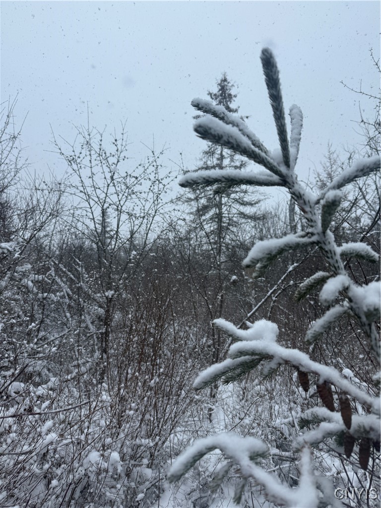 Eddy Road Theresa, NY 13691 - Photo 31 of 35