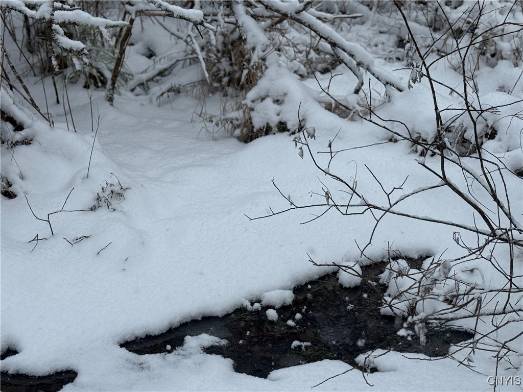 Eddy Road Theresa, NY 13691 - Photo 32 of 35