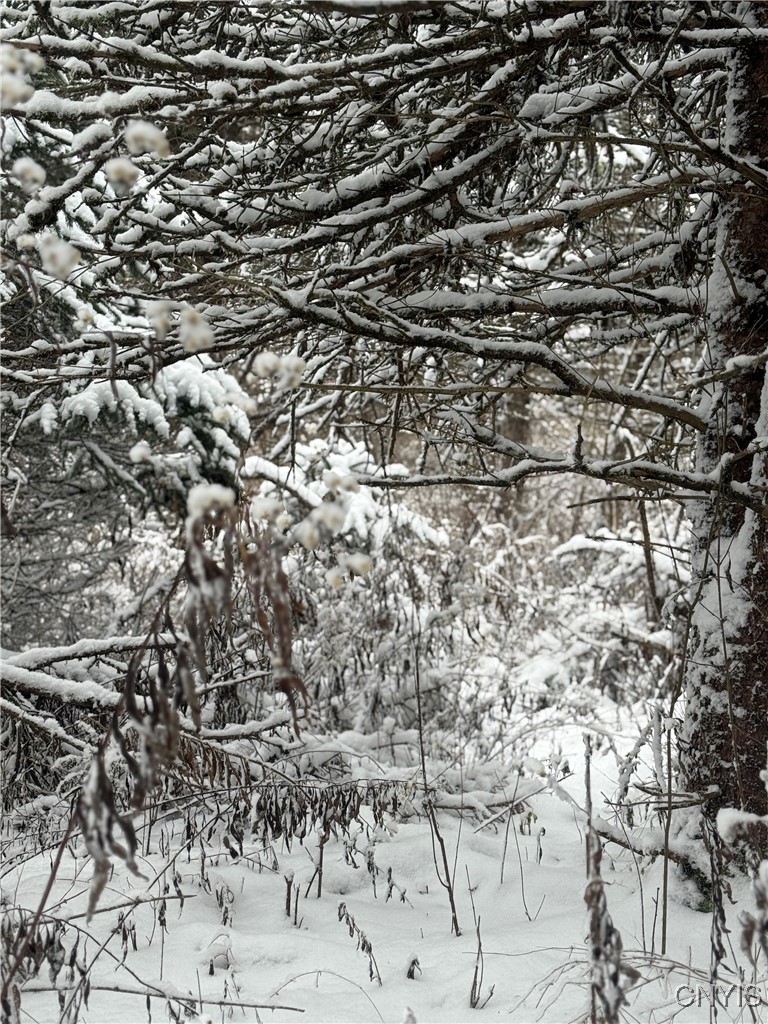 Eddy Road Theresa, NY 13691 - Photo 33 of 35