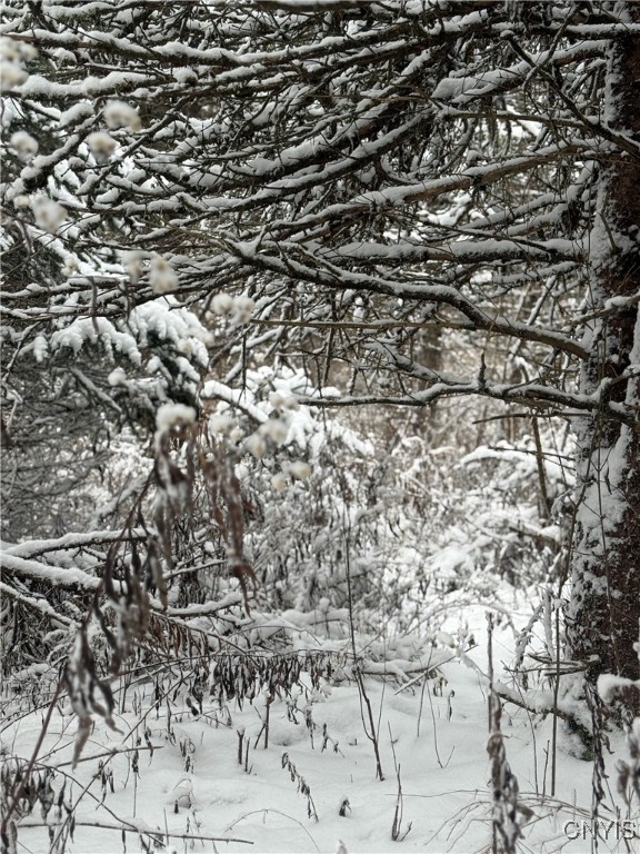 Eddy Road Theresa, NY 13691 - Photo 33 of 35