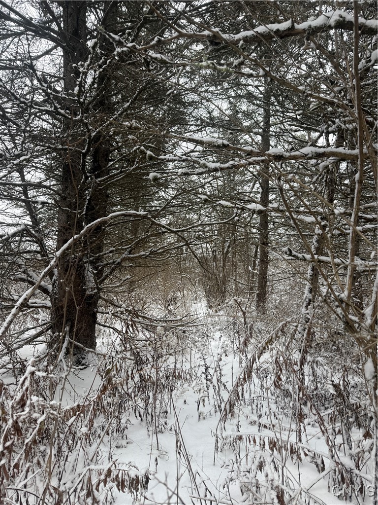 Eddy Road Theresa, NY 13691 - Photo 34 of 35