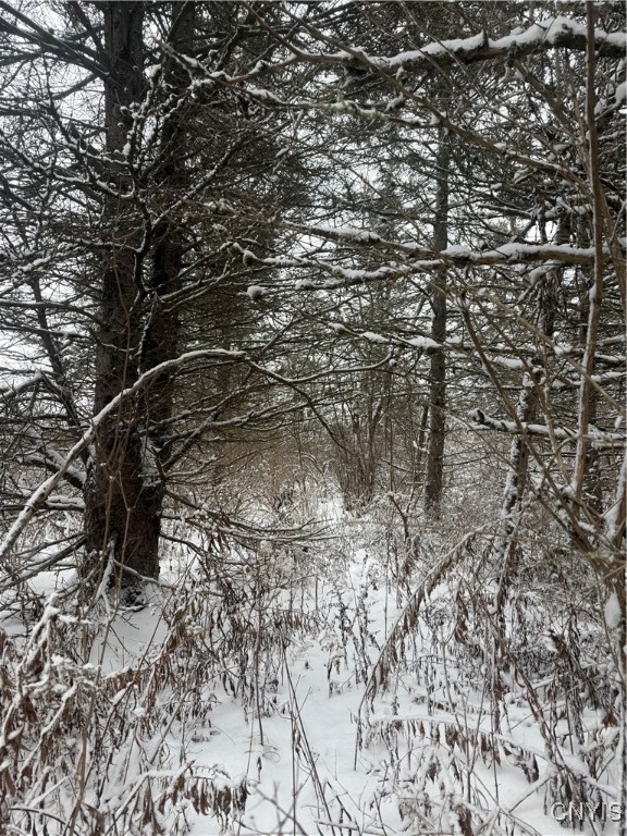 Eddy Road Theresa, NY 13691 - Photo 34 of 35