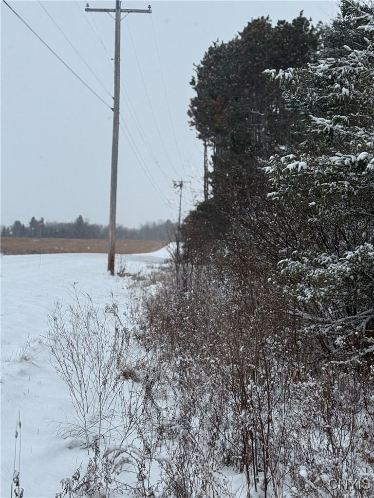 Eddy Road Theresa, NY 13691 - Photo 35 of 35