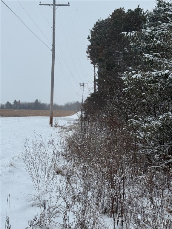 Eddy Road Theresa, NY 13691 - Photo 35 of 35