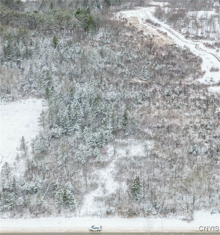 Eddy Road Theresa, NY 13691 - Photo 4 of 35