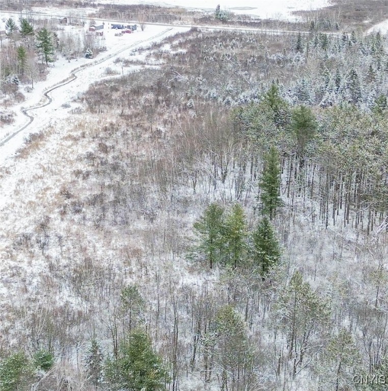 Eddy Road Theresa, NY 13691 - Photo 5 of 35