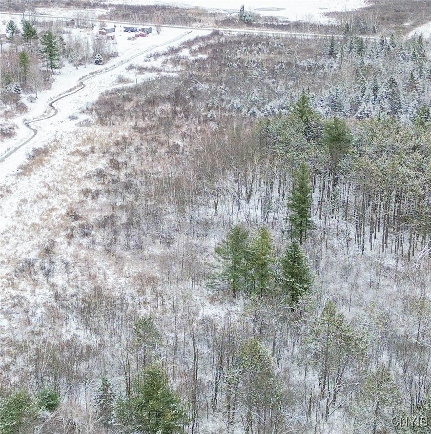 Eddy Road Theresa, NY 13691 - Photo 5 of 35