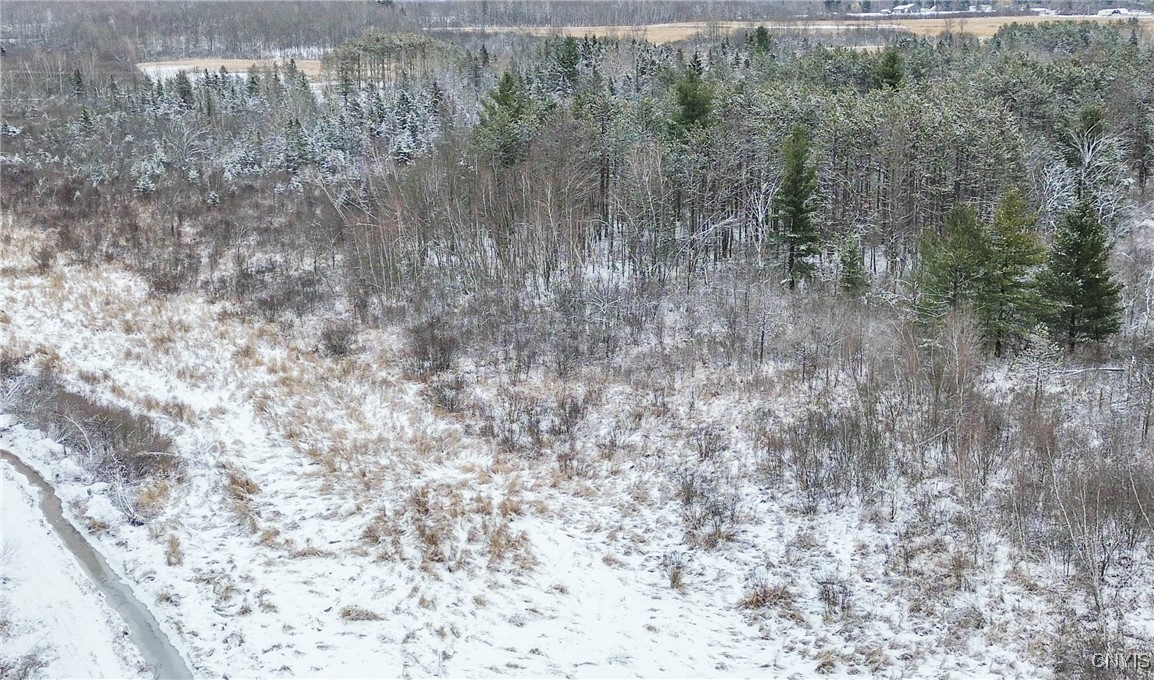 Eddy Road Theresa, NY 13691 - Photo 9 of 35