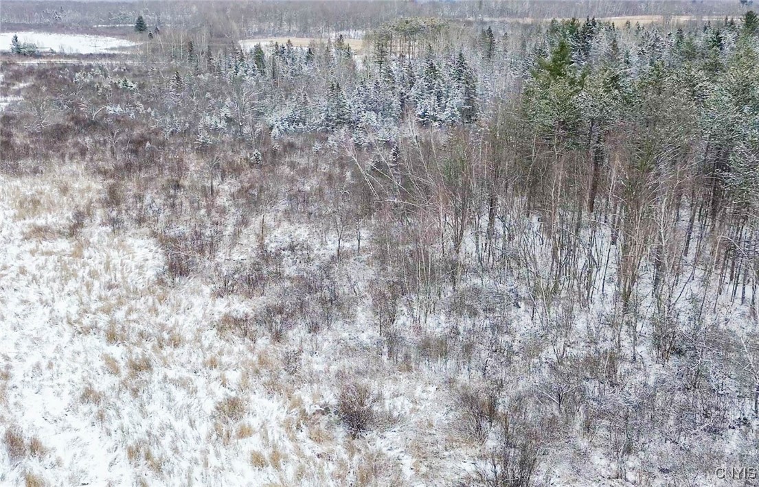 Eddy Road Theresa, NY 13691 - Photo 10 of 35