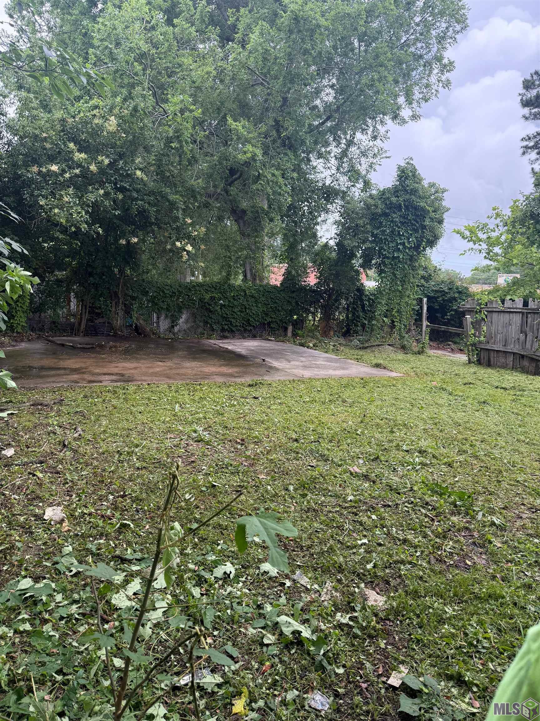 1905 Pocahontas Street Baton Rouge, LA 70802 - Photo 12 of 12