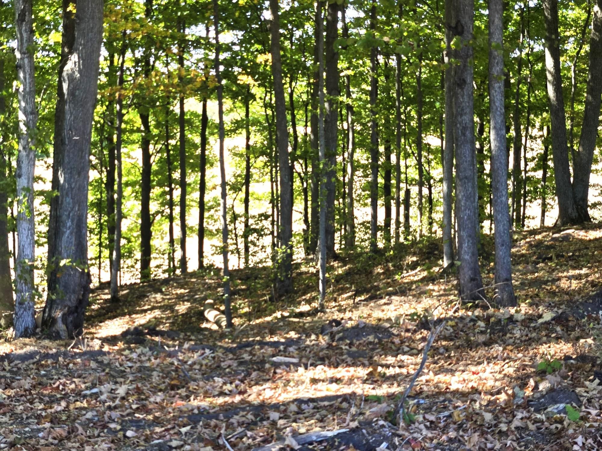 8 Heather Ridge Trail Beulah, MI 49617 - Photo 4 of 9