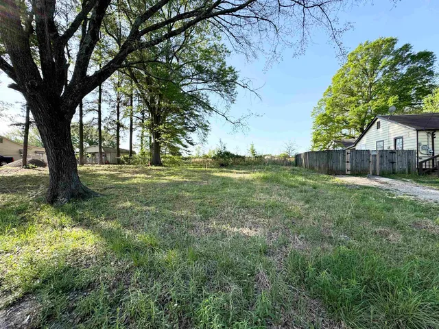 a view of a yard with an tree