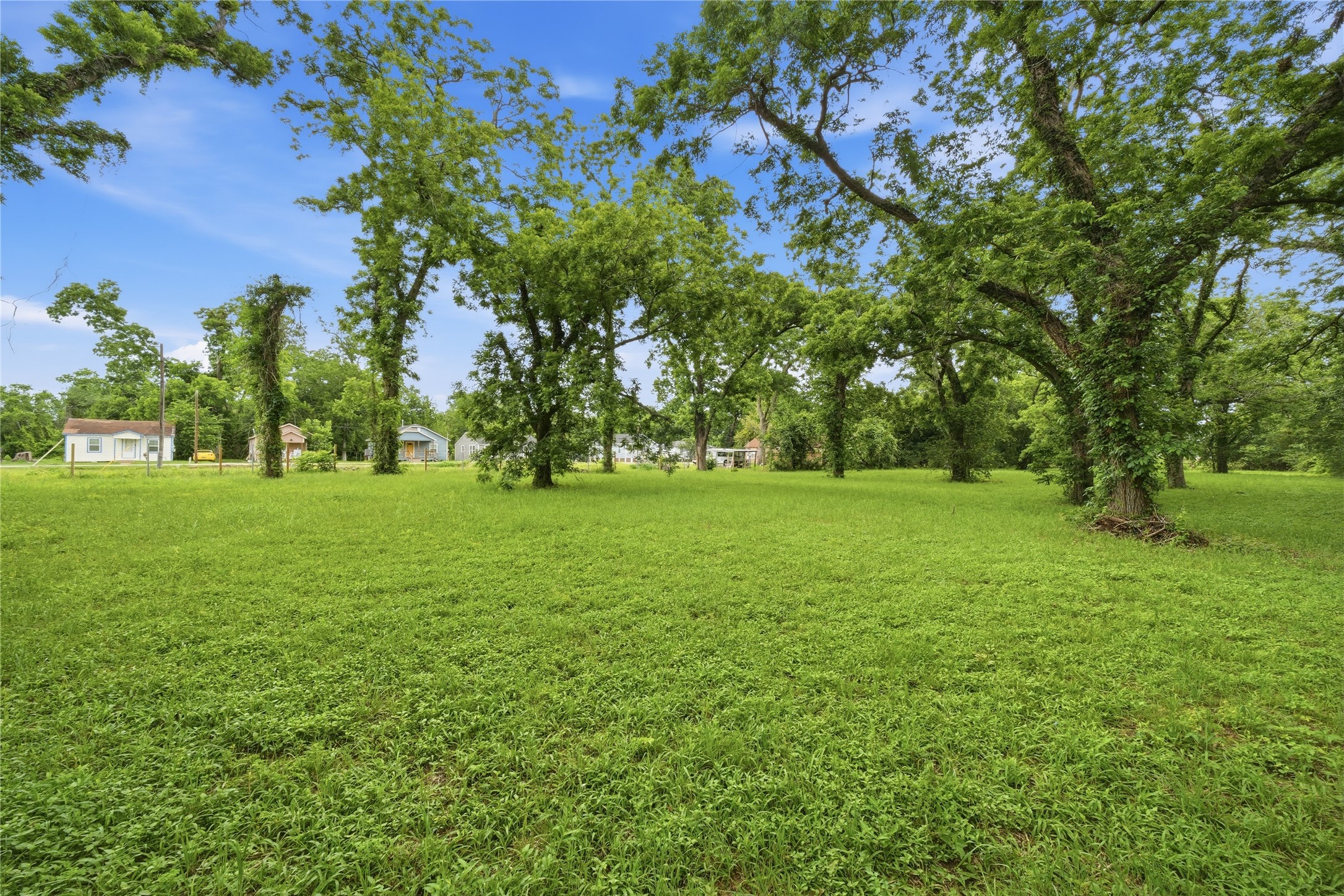 101 Outlar Street Wharton, TX 77488 - Photo 23 of 40 a view of green field with trees