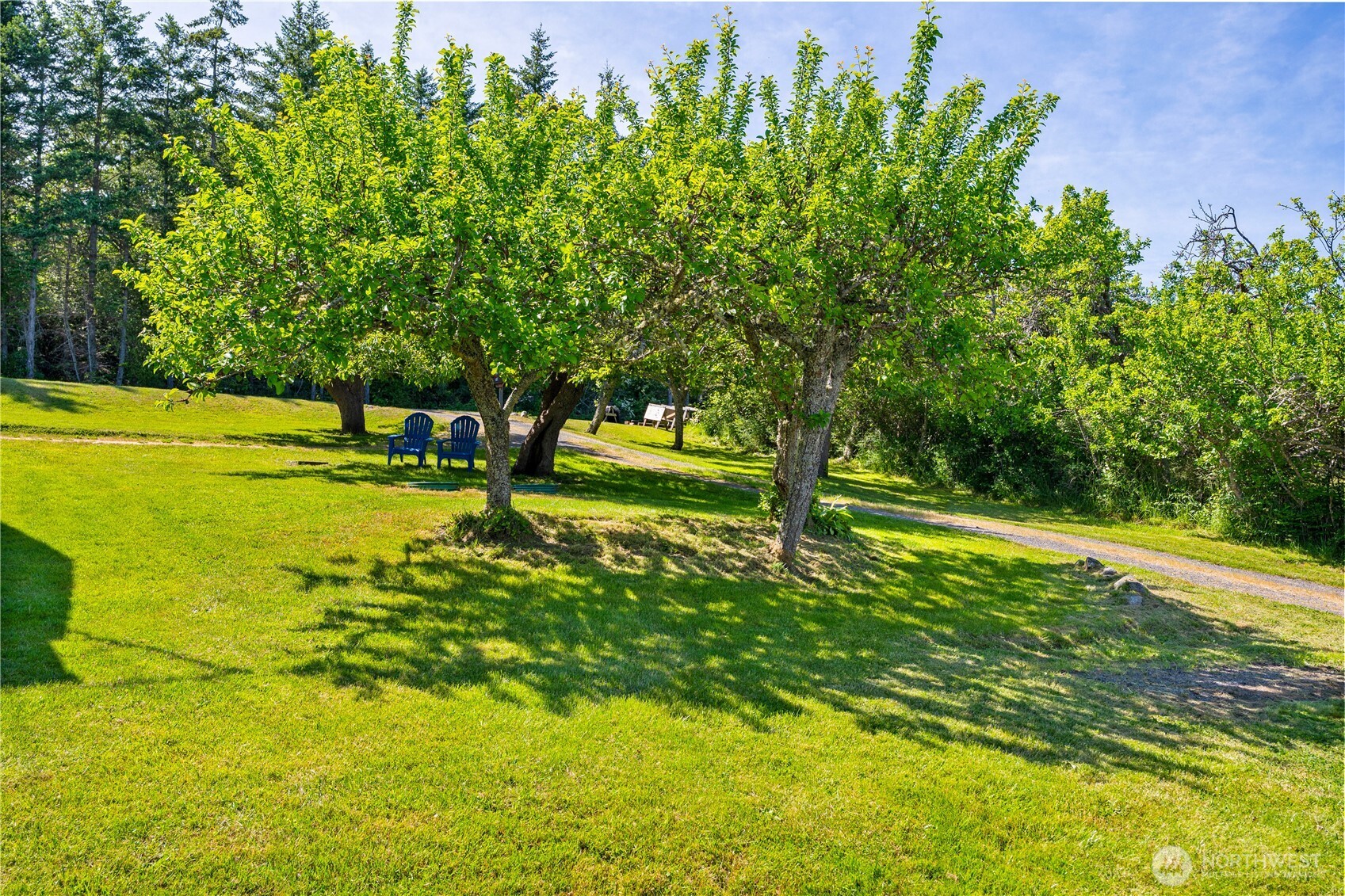 50 Ranchos Road Friday Harbor, WA 98250 - Photo 19 of 39