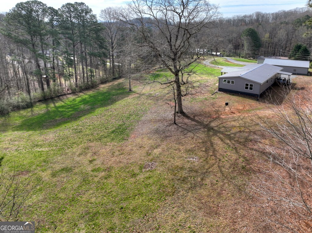 190 Burgess Road Ellijay, GA 30540 - Photo 4 of 52