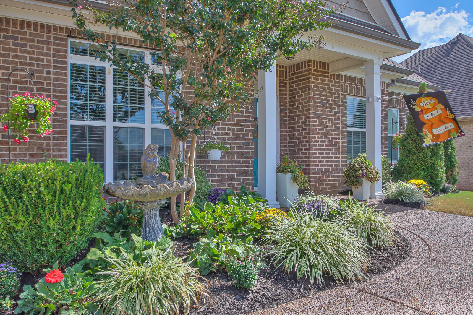 a view of a house with a small yard and plants