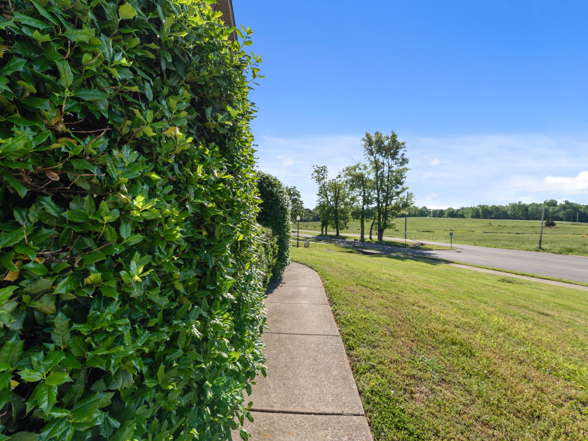 1191 Filmore Harris Road Pleasant View, TN 37146 - Photo 44 of 44