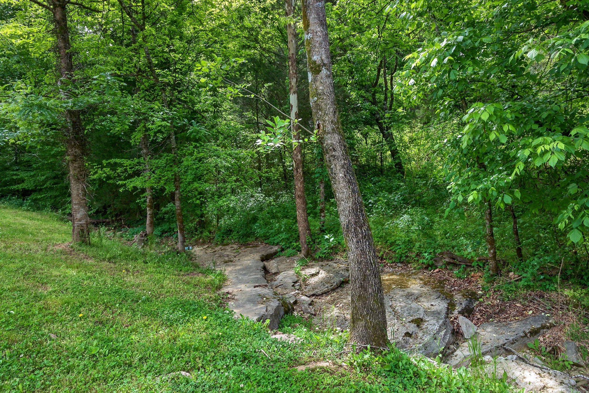 4830 Ensor Hollow Road Granville, TN 38564 - Photo 30 of 61