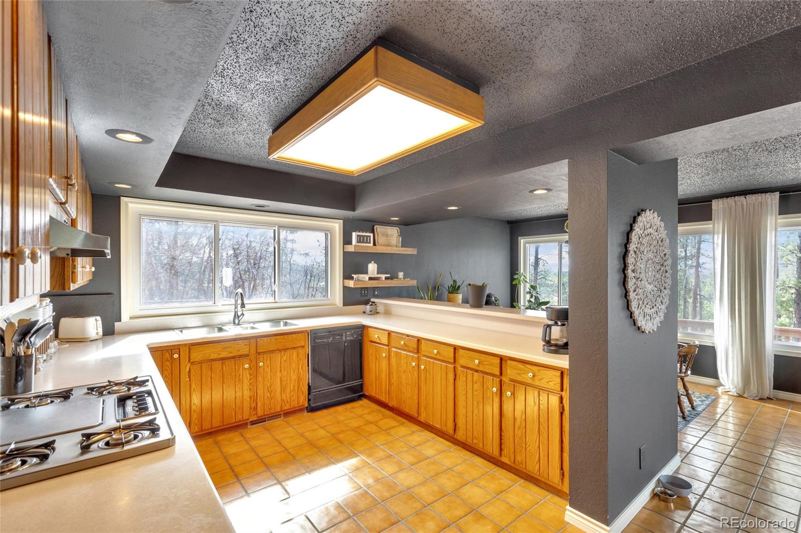 9805 Deerfield Road Franktown, CO 80116 - Photo 18 of 49