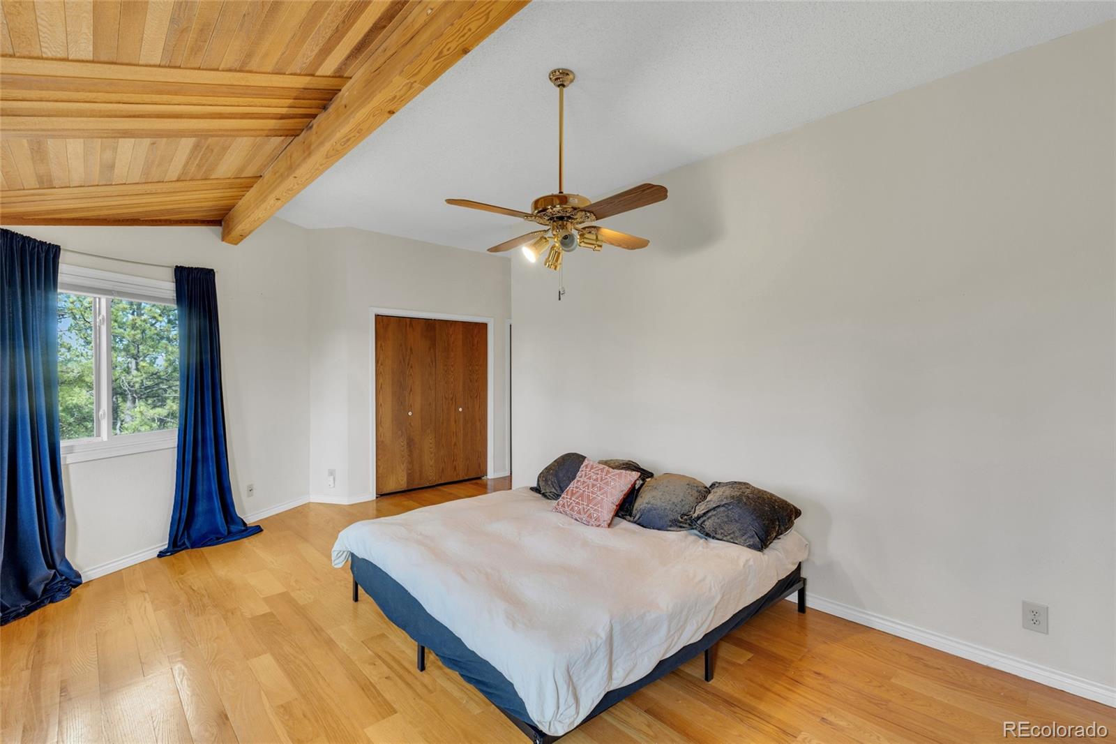 9805 Deerfield Road Franktown, CO 80116 - Photo 26 of 49