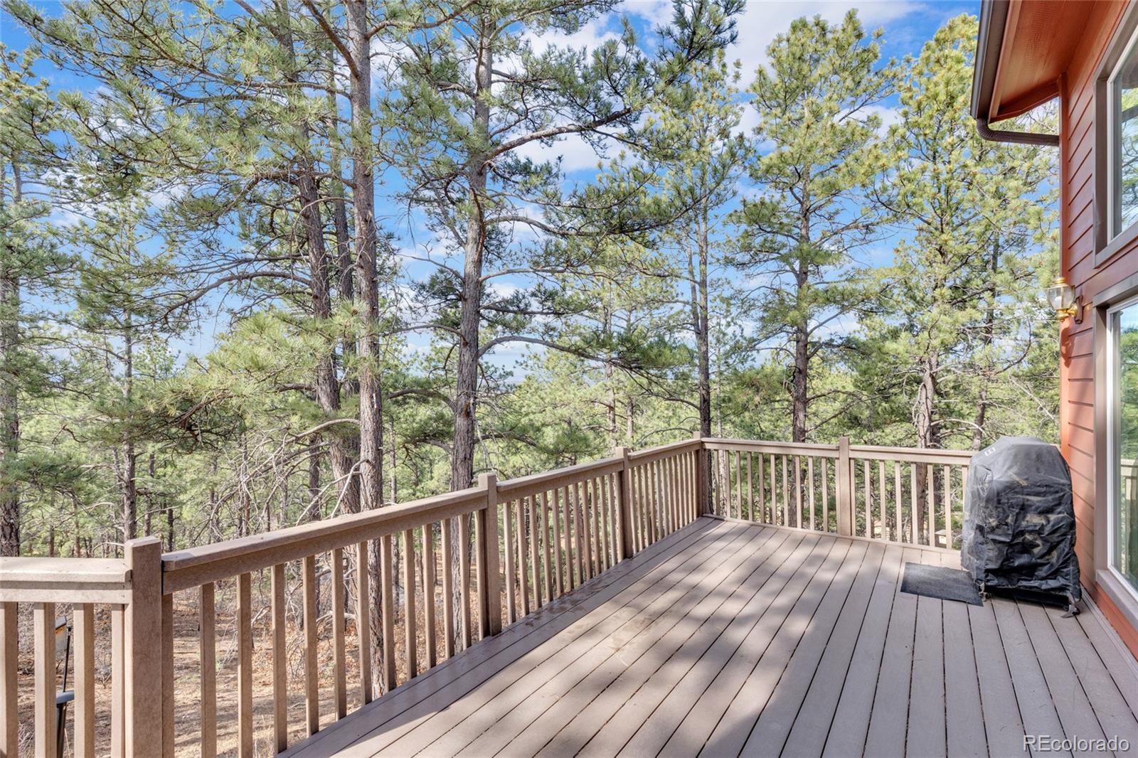 9805 Deerfield Road Franktown, CO 80116 - Photo 41 of 49
