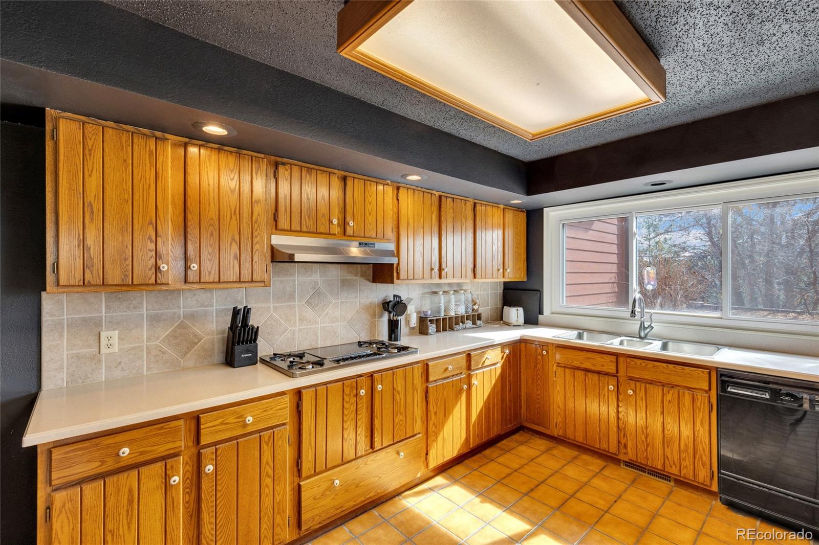 9805 Deerfield Road Franktown, CO 80116 - Photo 10 of 48