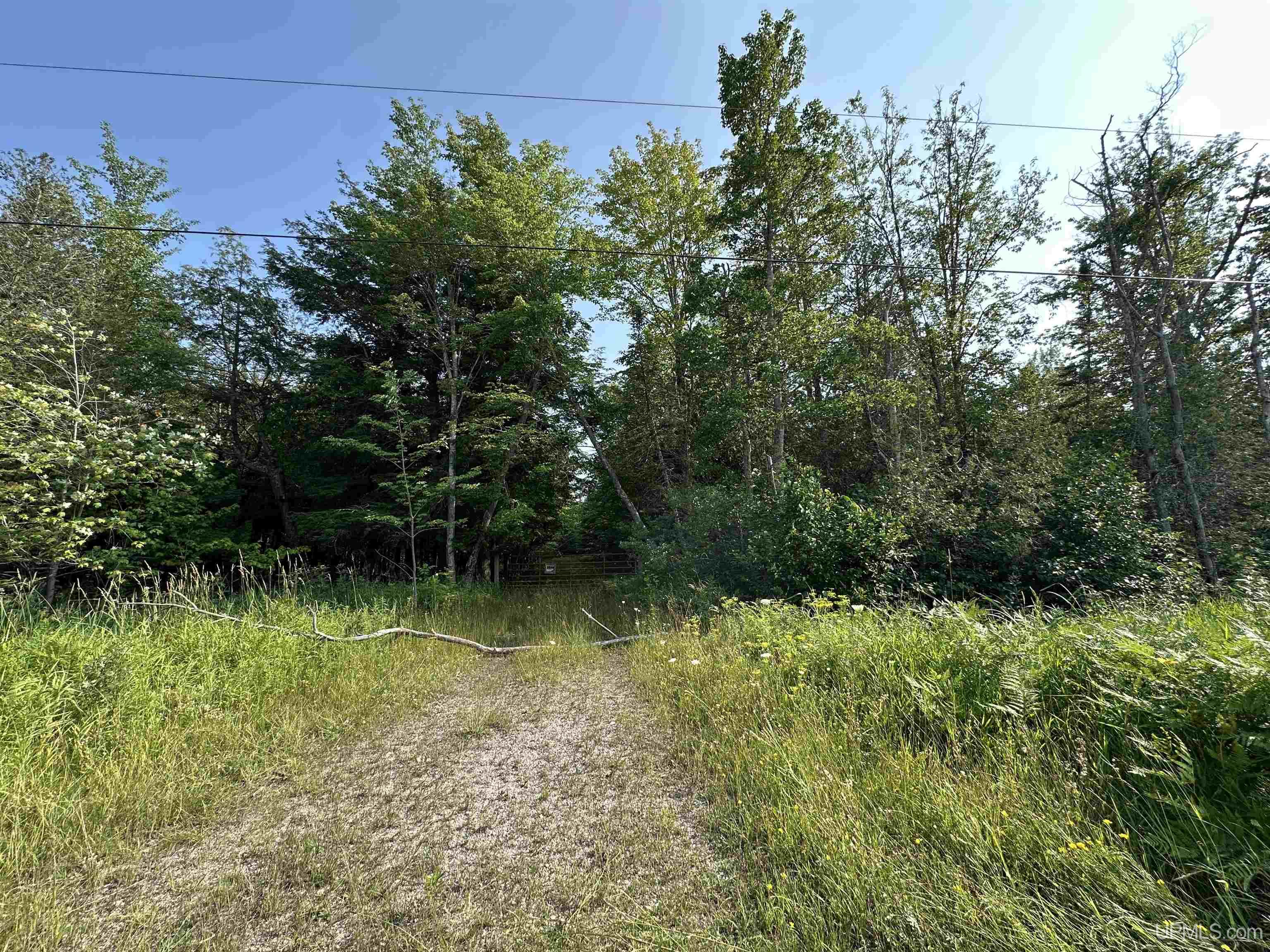 432 County Road 432 Road Gulliver, MI 49840 - Photo 3 of 5 Gallery Image 3
