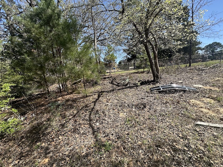 1115 Hickory Drive Harleton, TX 75651 - Photo 4 of 5