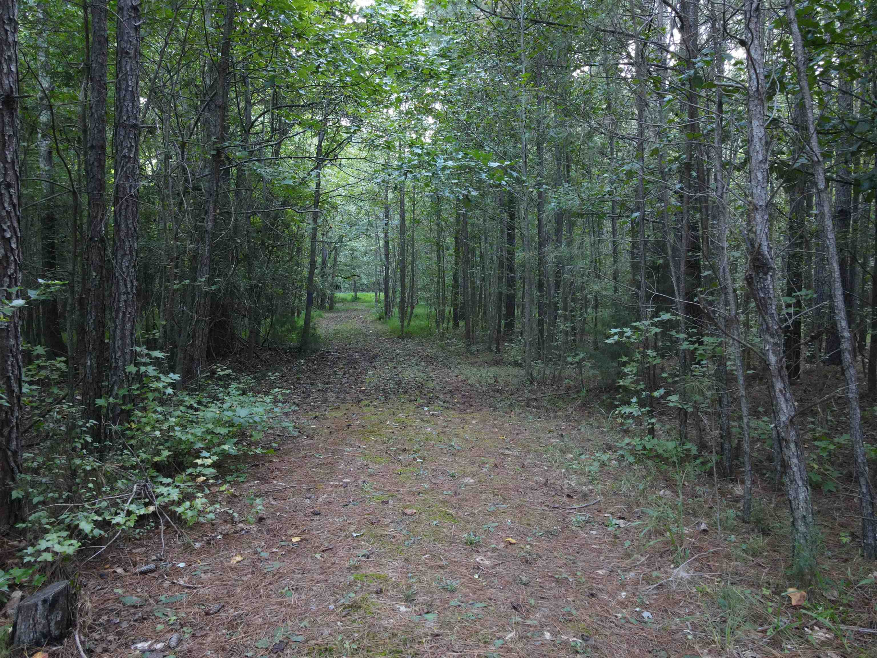 Creedmoor Road Wake Forest, NC 27587 - Photo 24 of 38 Photo 24