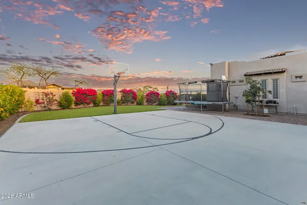 a view of a backyard with a garden and plants