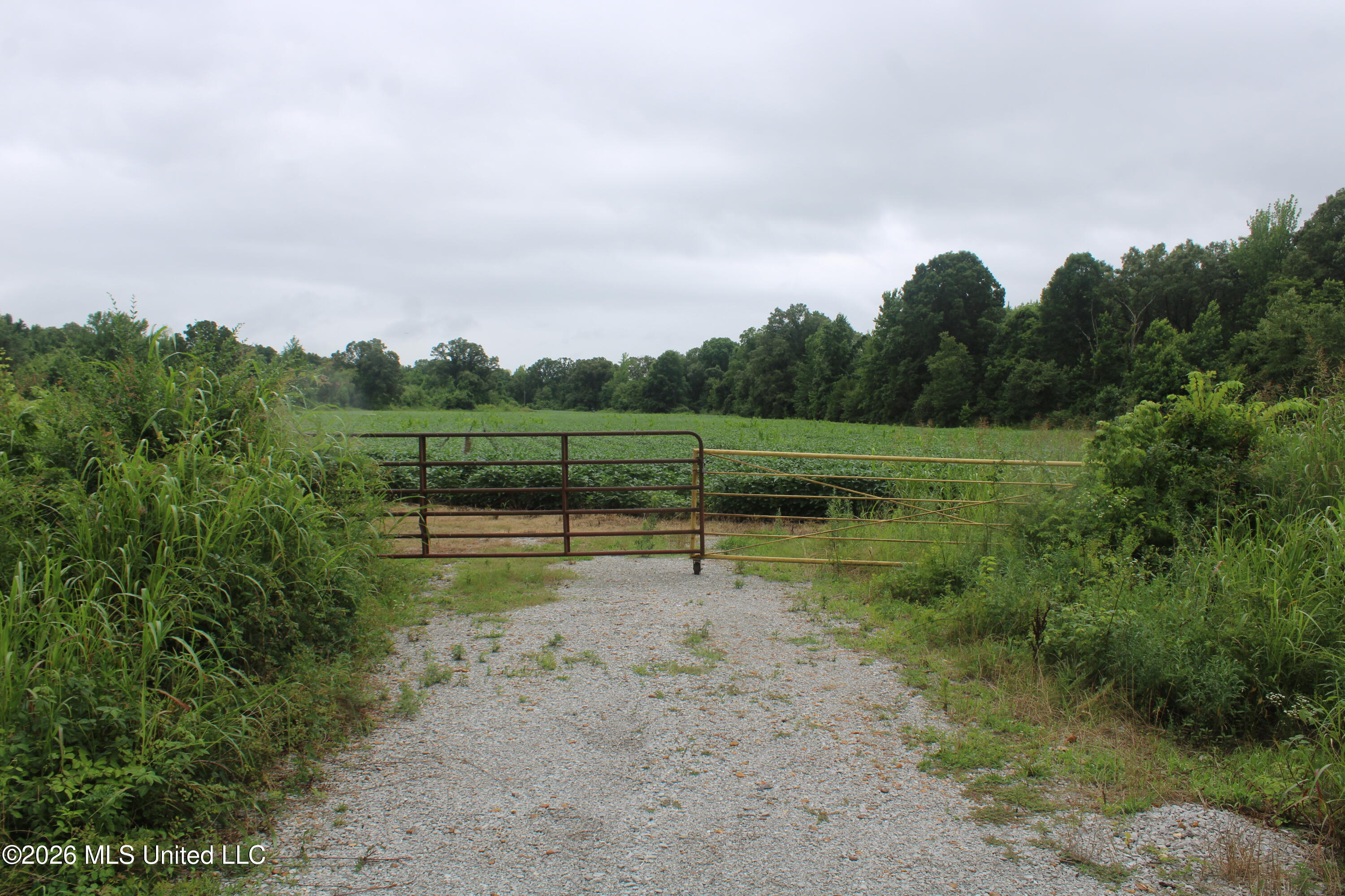 1500 Allen Corner Road Lamar, MS 38642 - Photo 4 of 17 IMG_7969