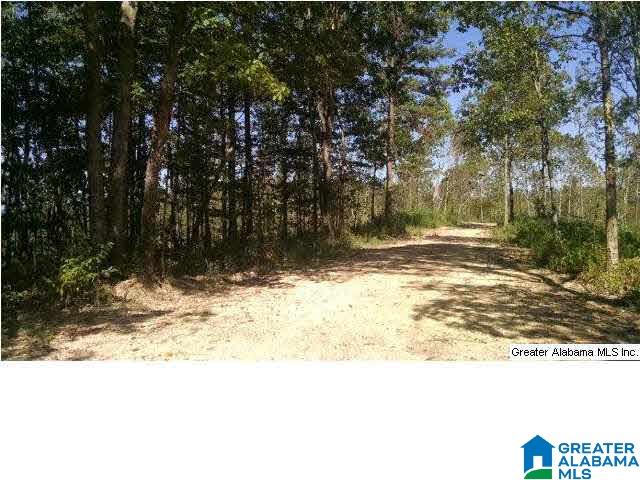 0 Beaver Ridge Drive, Unit 42 48 Ashville, AL 35953 - Photo 10 of 26