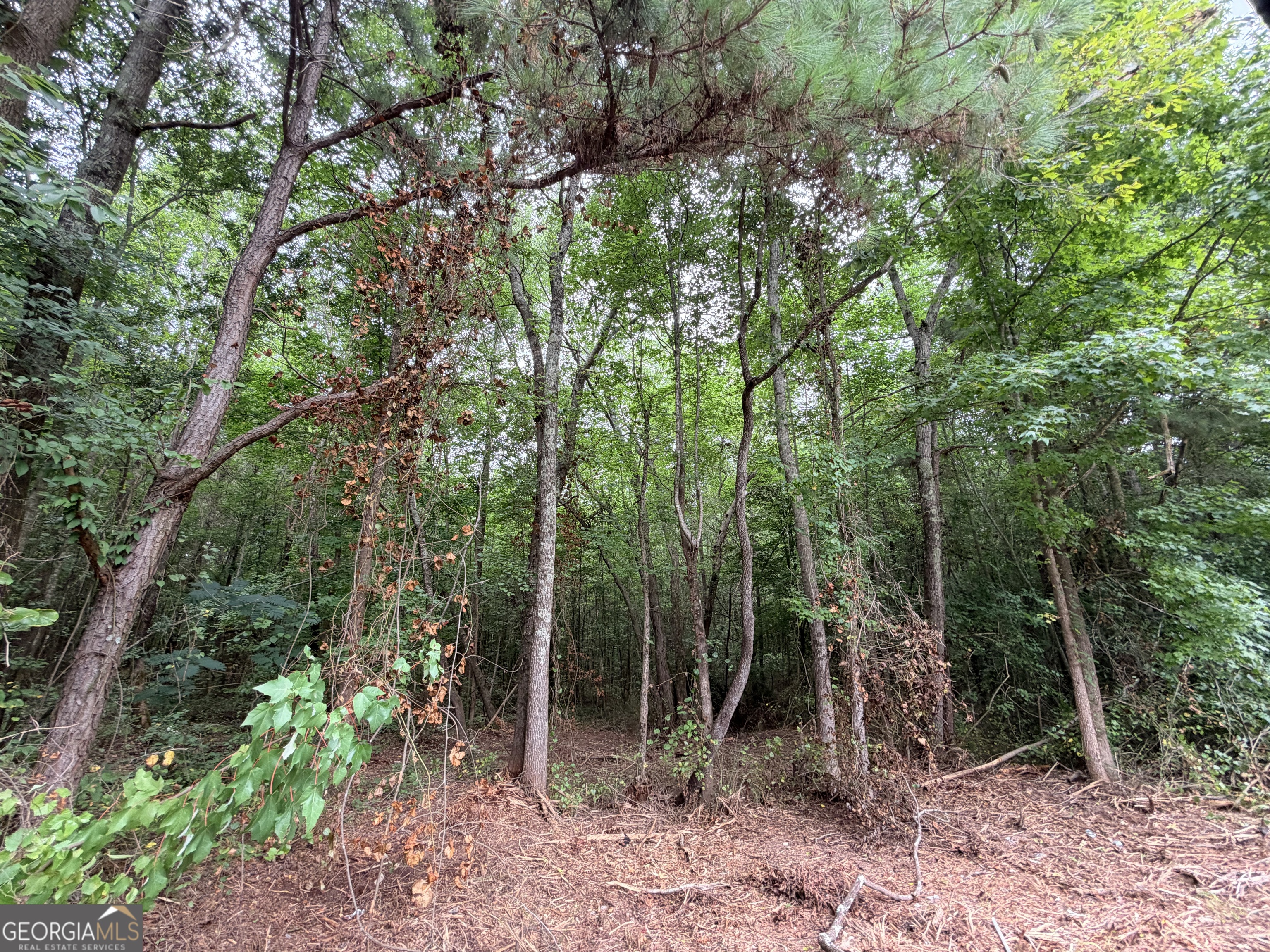 1 Norwood Road Hull, GA 30646 - Photo 18 of 25