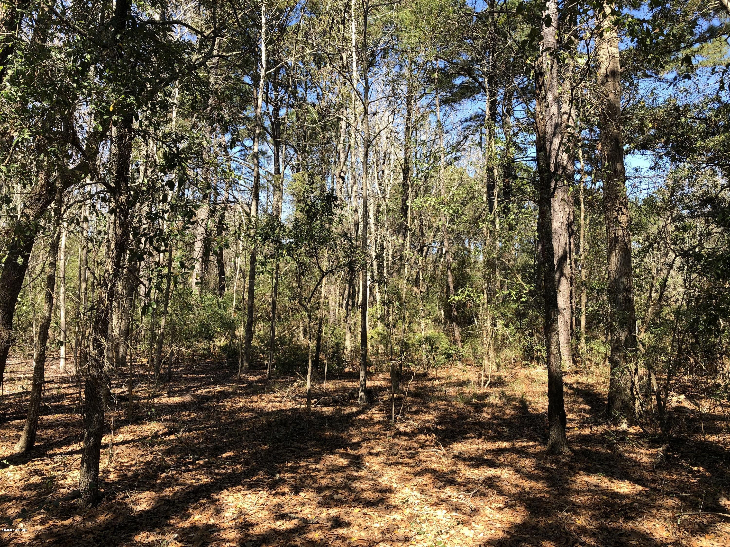 1801 Deloss Point Road Ridgeland, SC 29936 - Photo 24 of 36 IMG_5169