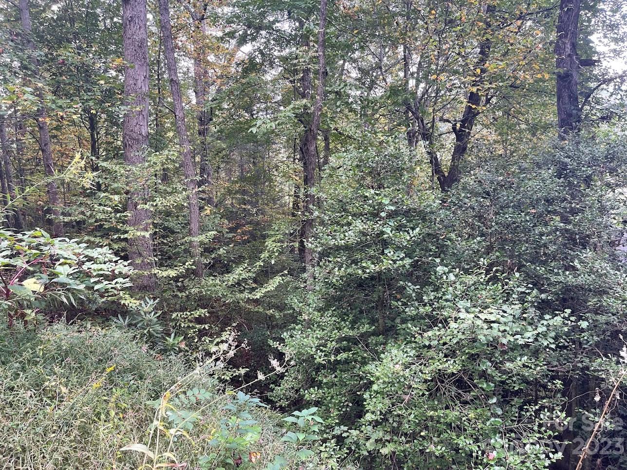 6 A Heartland Ridge Sylva, NC 28779 - Photo 2 of 3 Gallery Image 2
