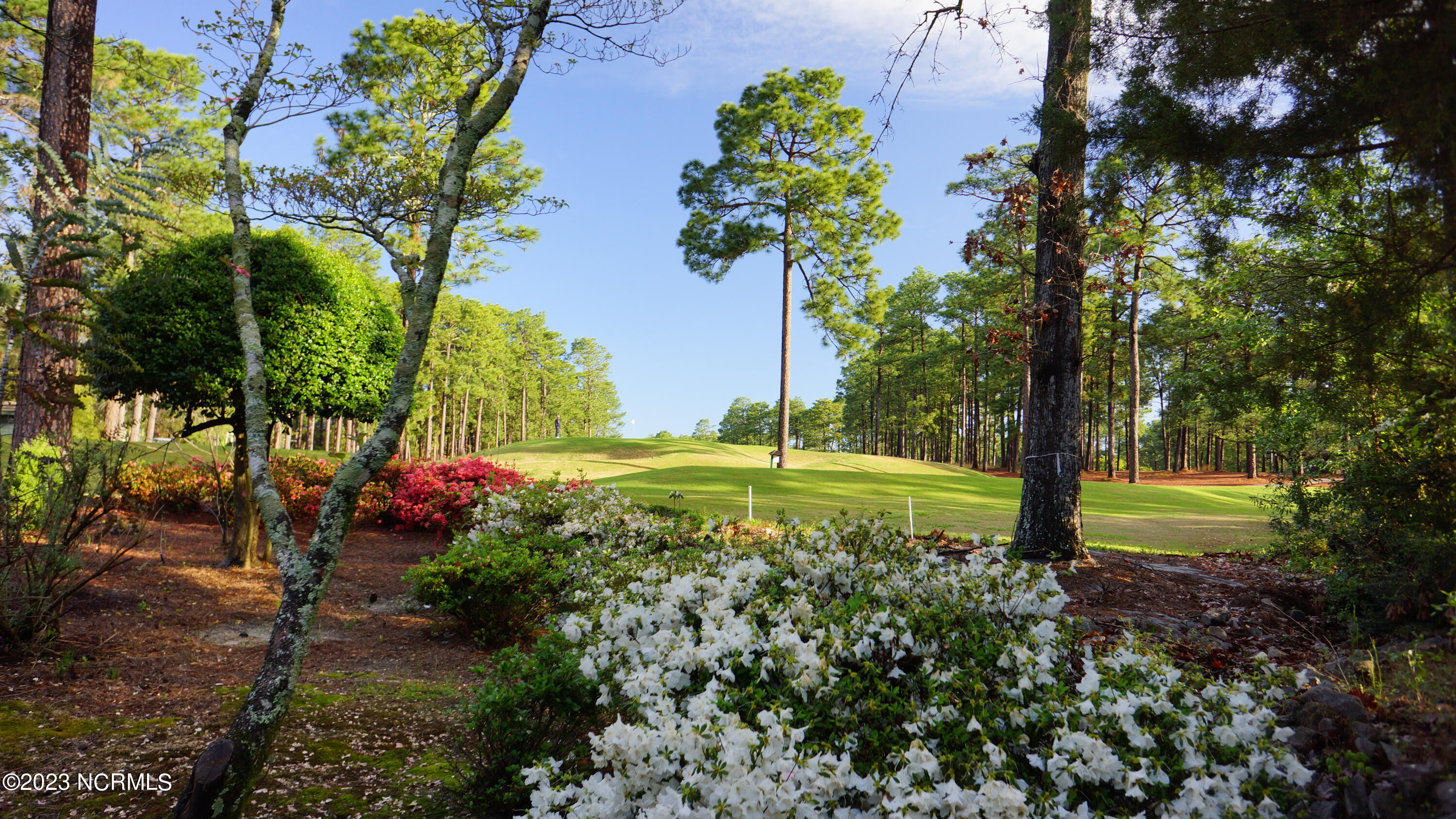 95 Hearthstone Road Pinehurst, NC 28374 - Photo 48 of 53 azaleas in the spring