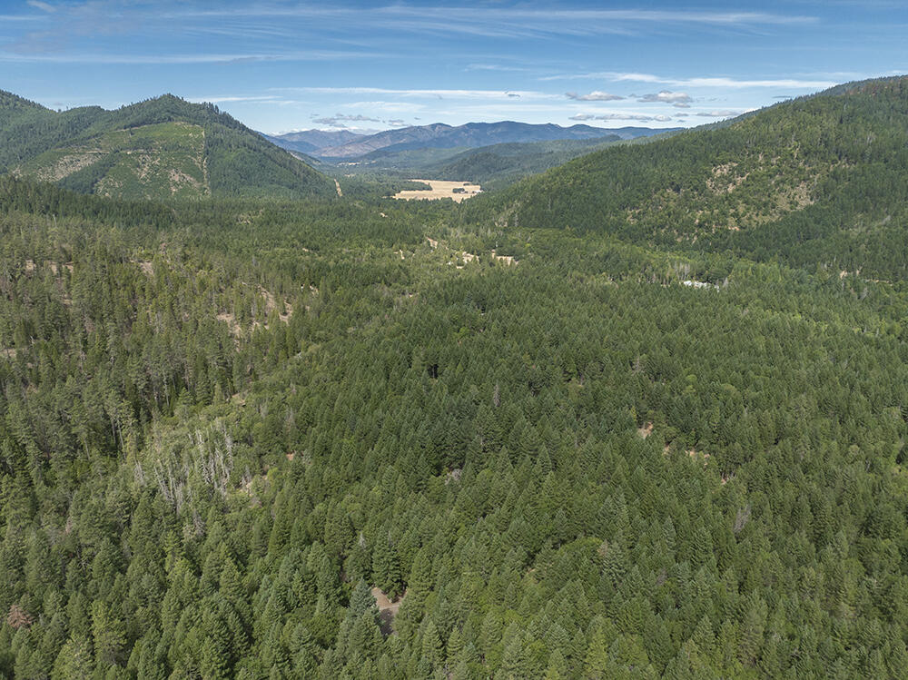 8843 Deer Creek Road Selma, OR 97538 - Photo 65 of 65 63