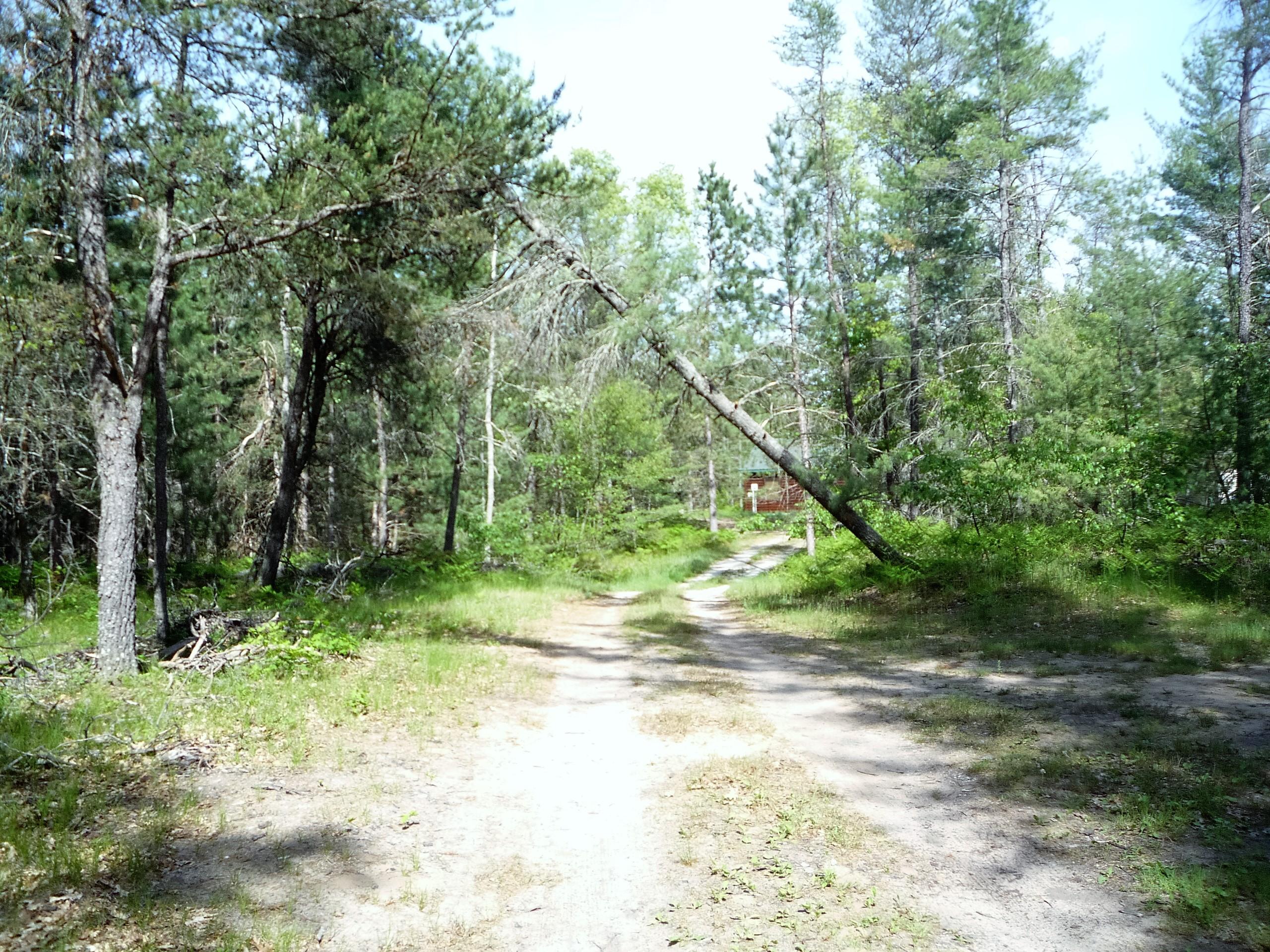 15662 Riverview Road Southeast Grayling, MI 49738 - Photo 30 of 41 Gallery Image 30