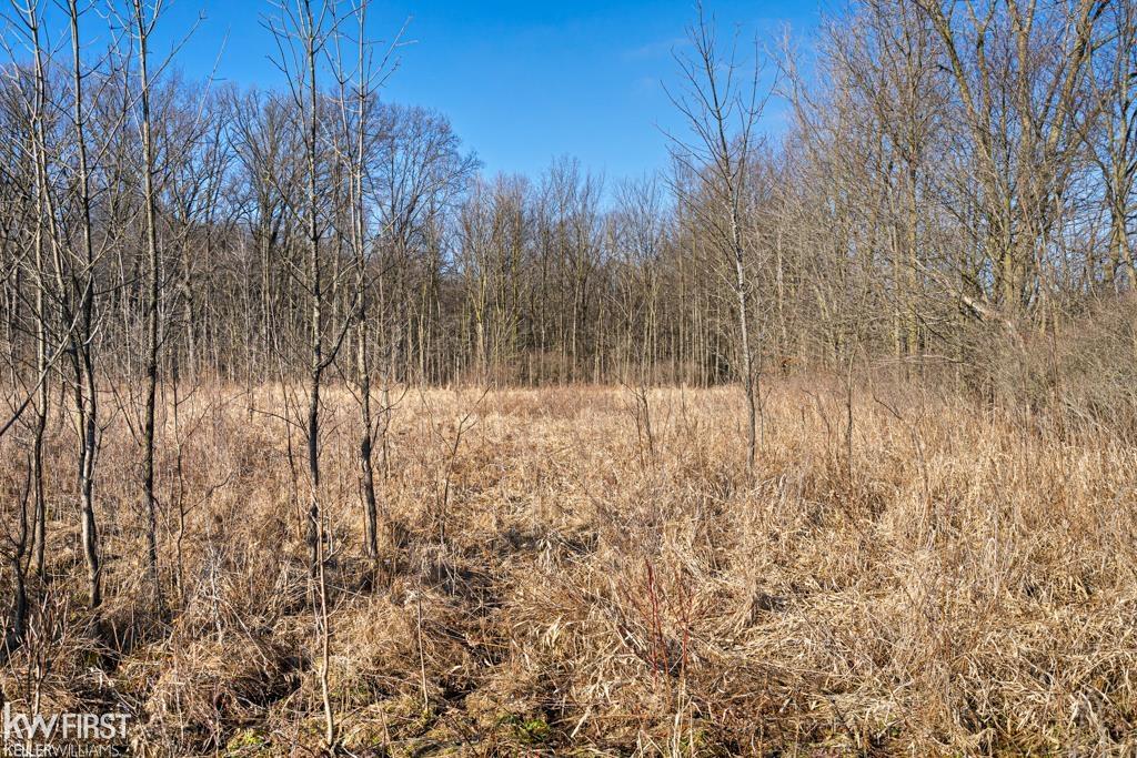 9112 Division Road Columbus, MI 48063 - Photo 15 of 19
