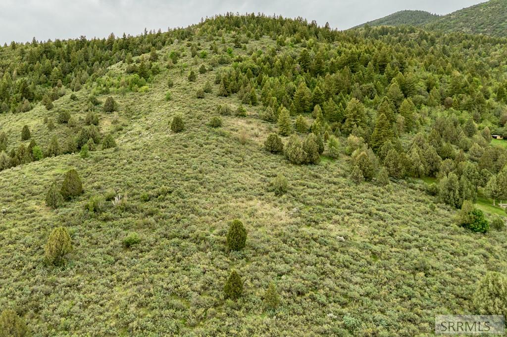 Tbd Victory View Road Lava Hot Springs, ID 83246 - Photo 5 of 10