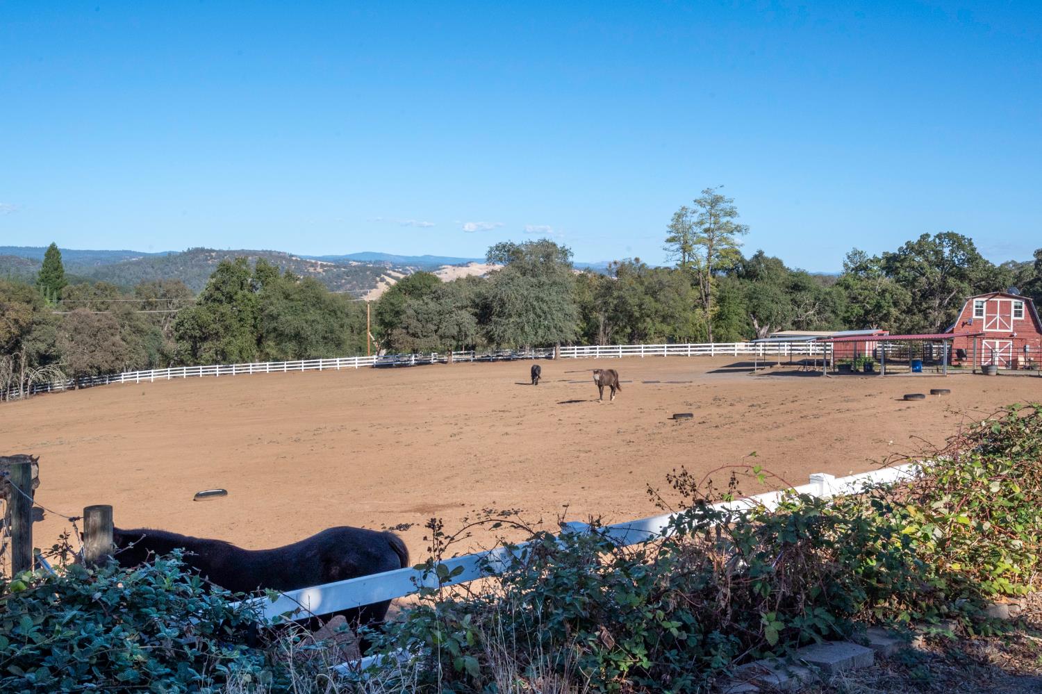 4770 Pedro Hill Road Pilot Hill, CA 95664 - Photo 25 of 89