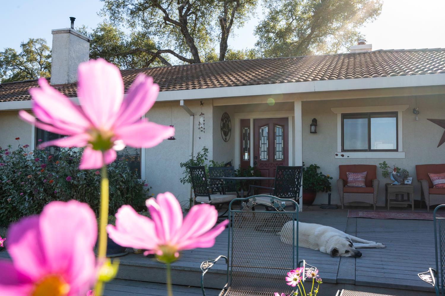 4770 Pedro Hill Road Pilot Hill, CA 95664 - Photo 29 of 87 a view of a house with a chairs and table in a patio