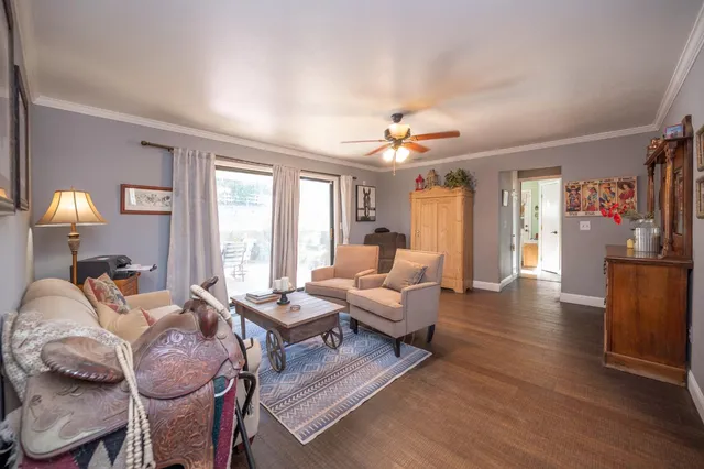 an outdoor view of a garden