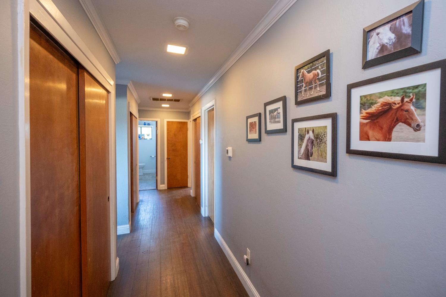 4770 Pedro Hill Road Pilot Hill, CA 95664 - Photo 70 of 89