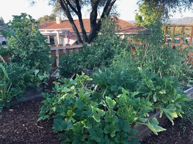 $895,900 | 4770 Pedro Hill Road, Pilot Hill, CA 95664